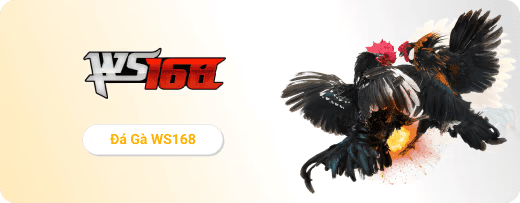 WS168