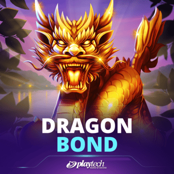 Dragon Bond