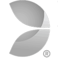 Evolution logo