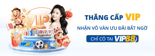 Thăng cấp VIP